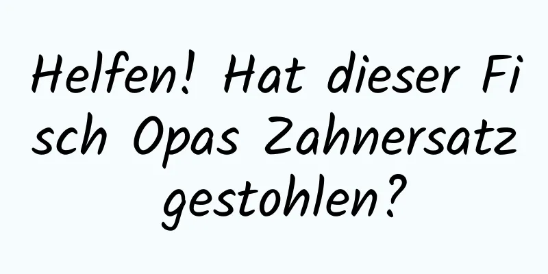 Helfen! Hat dieser Fisch Opas Zahnersatz gestohlen?