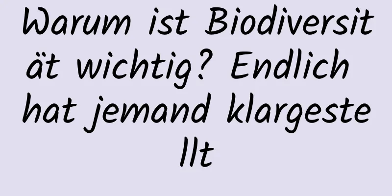 Warum ist Biodiversität wichtig? Endlich hat jemand klargestellt