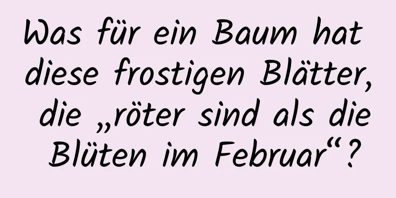 Was für ein Baum hat diese frostigen Blätter, die „röter sind als die Blüten im Februar“?