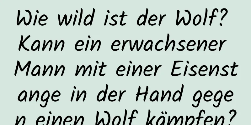 Wie wild ist der Wolf? Kann ein erwachsener Mann mit einer Eisenstange in der Hand gegen einen Wolf kämpfen?