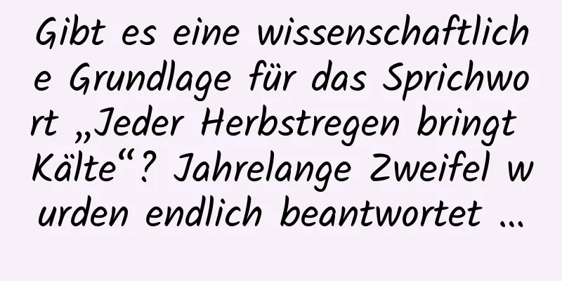 Gibt es eine wissenschaftliche Grundlage für das Sprichwort „Jeder Herbstregen bringt Kälte“? Jahrelange Zweifel wurden endlich beantwortet …