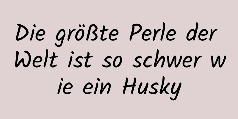 Die größte Perle der Welt ist so schwer wie ein Husky