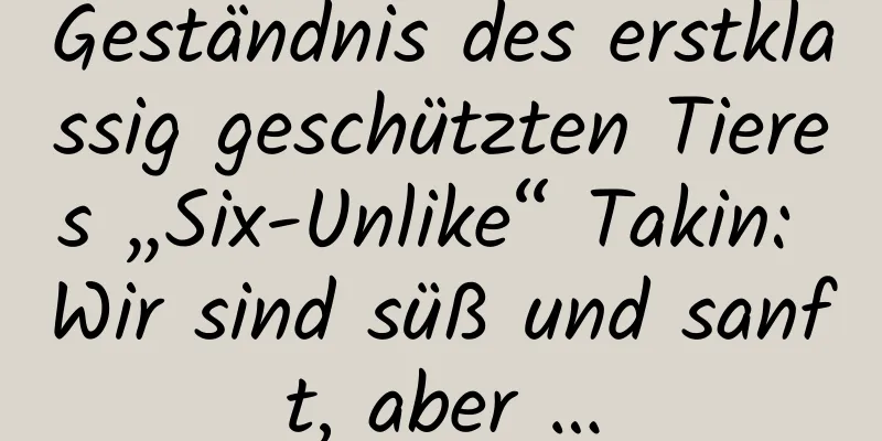 Geständnis des erstklassig geschützten Tieres „Six-Unlike“ Takin: Wir sind süß und sanft, aber …