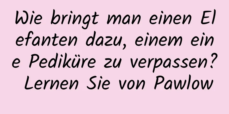 Wie bringt man einen Elefanten dazu, einem eine Pediküre zu verpassen? Lernen Sie von Pawlow