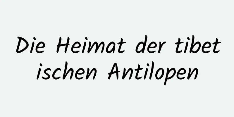 Die Heimat der tibetischen Antilopen