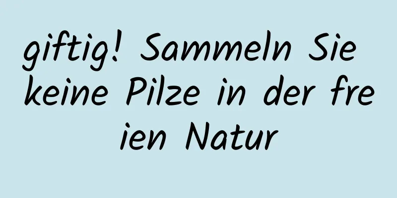 giftig! Sammeln Sie keine Pilze in der freien Natur