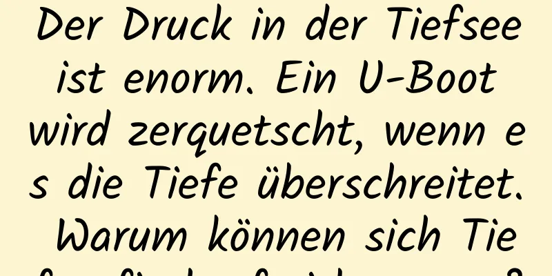 Der Druck in der Tiefsee ist enorm. Ein U-Boot wird zerquetscht, wenn es die Tiefe überschreitet. Warum können sich Tiefseefische frei bewegen?