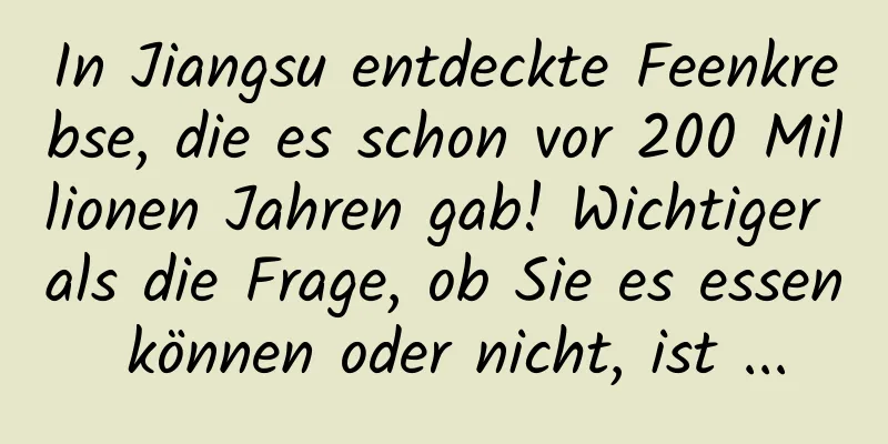 In Jiangsu entdeckte Feenkrebse, die es schon vor 200 Millionen Jahren gab! Wichtiger als die Frage, ob Sie es essen können oder nicht, ist ...