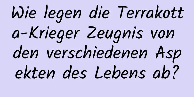 Wie legen die Terrakotta-Krieger Zeugnis von den verschiedenen Aspekten des Lebens ab?