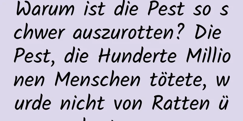 Warum ist die Pest so schwer auszurotten? Die Pest, die Hunderte Millionen Menschen tötete, wurde nicht von Ratten übertragen