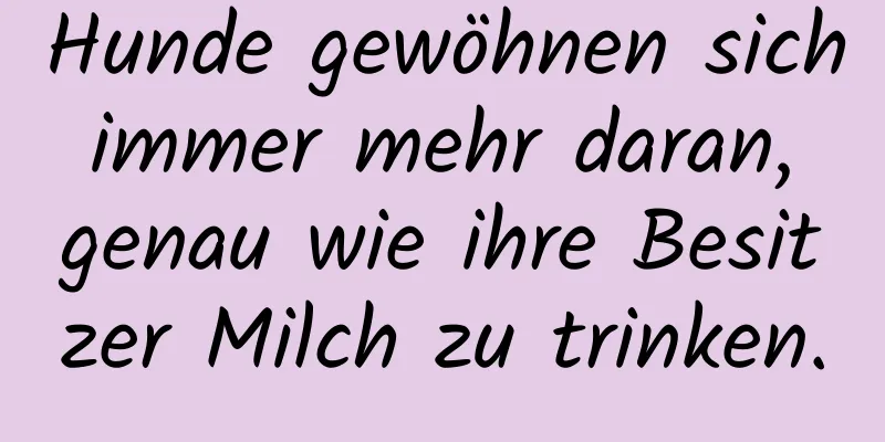 Hunde gewöhnen sich immer mehr daran, genau wie ihre Besitzer Milch zu trinken.