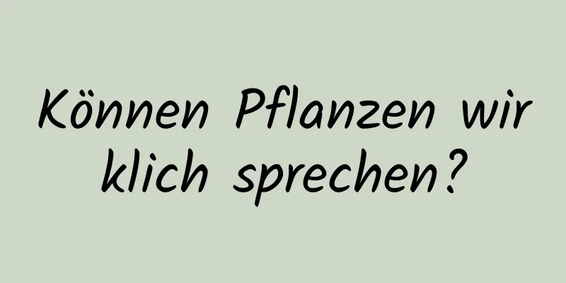 Können Pflanzen wirklich sprechen?