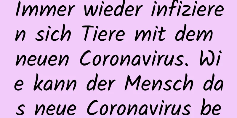 Immer wieder infizieren sich Tiere mit dem neuen Coronavirus. Wie kann der Mensch das neue Coronavirus besiegen?