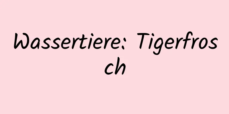 Wassertiere: Tigerfrosch
