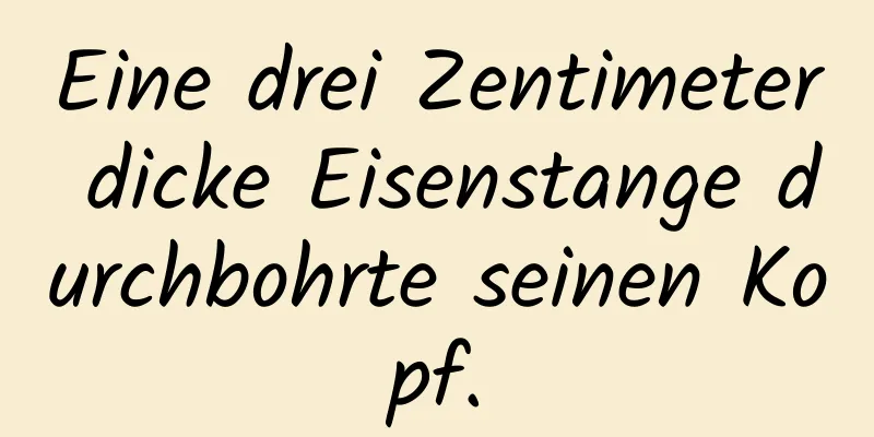 Eine drei Zentimeter dicke Eisenstange durchbohrte seinen Kopf.
