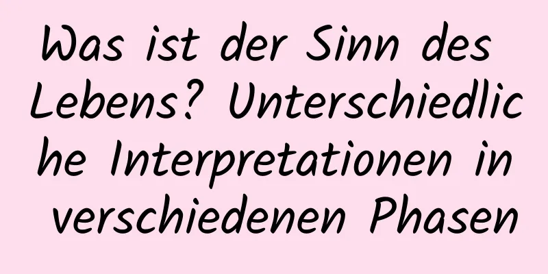 Was ist der Sinn des Lebens? Unterschiedliche Interpretationen in verschiedenen Phasen