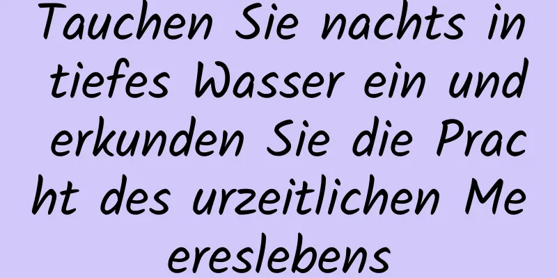 Tauchen Sie nachts in tiefes Wasser ein und erkunden Sie die Pracht des urzeitlichen Meereslebens