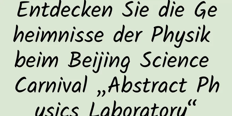 Entdecken Sie die Geheimnisse der Physik beim Beijing Science Carnival „Abstract Physics Laboratory“