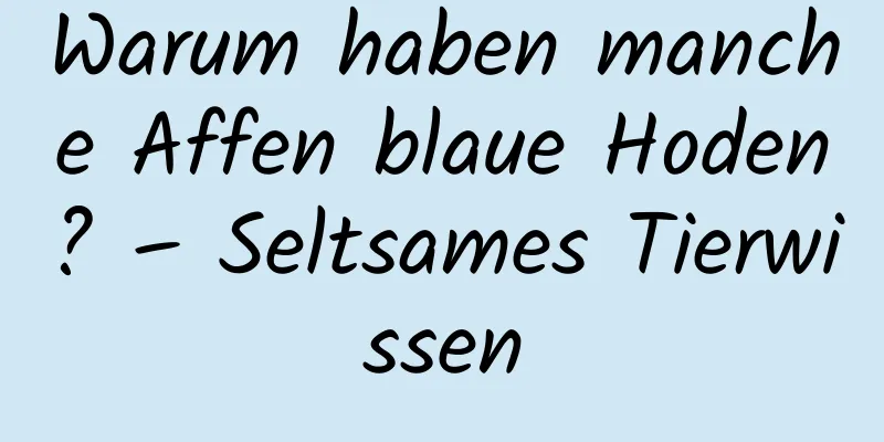 Warum haben manche Affen blaue Hoden? – Seltsames Tierwissen