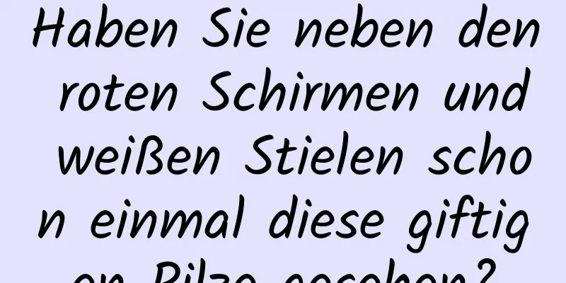 Haben Sie neben den roten Schirmen und weißen Stielen schon einmal diese giftigen Pilze gesehen?