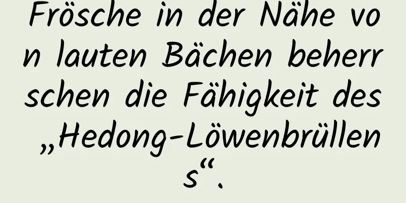 Frösche in der Nähe von lauten Bächen beherrschen die Fähigkeit des „Hedong-Löwenbrüllens“.