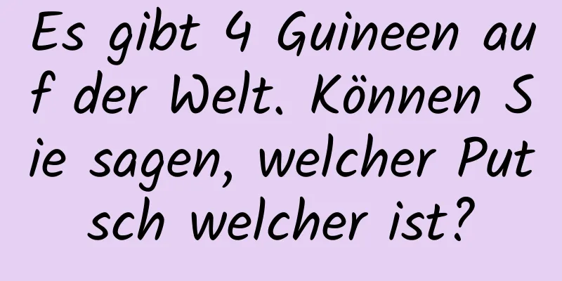 Es gibt 4 Guineen auf der Welt. Können Sie sagen, welcher Putsch welcher ist?