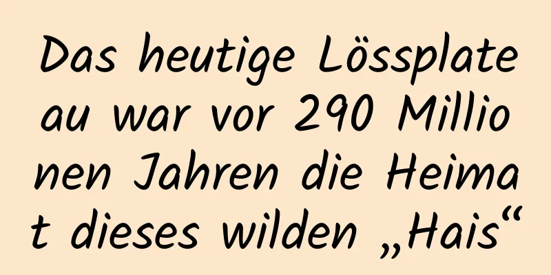 Das heutige Lössplateau war vor 290 Millionen Jahren die Heimat dieses wilden „Hais“