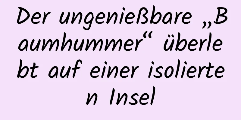 Der ungenießbare „Baumhummer“ überlebt auf einer isolierten Insel