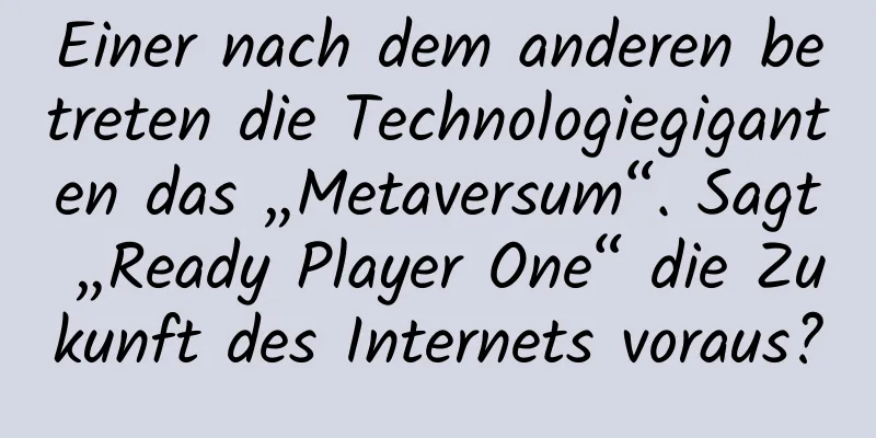 Einer nach dem anderen betreten die Technologiegiganten das „Metaversum“. Sagt „Ready Player One“ die Zukunft des Internets voraus?