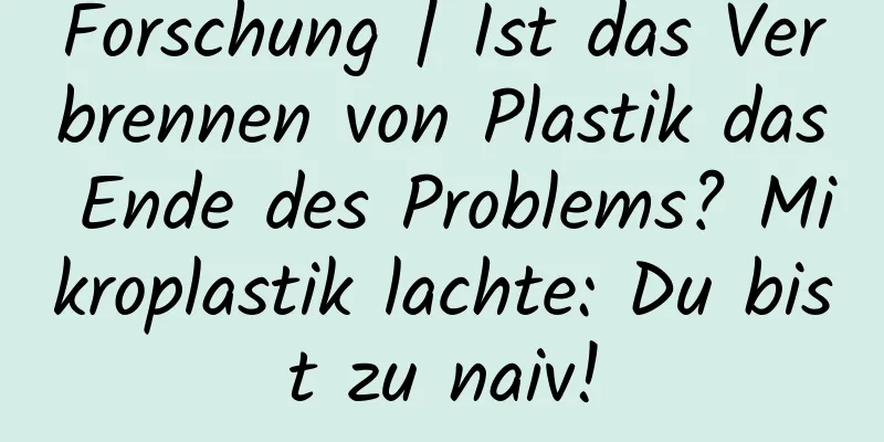 Forschung | Ist das Verbrennen von Plastik das Ende des Problems? Mikroplastik lachte: Du bist zu naiv!