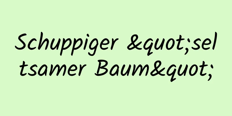 Schuppiger "seltsamer Baum"