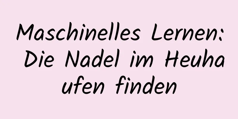Maschinelles Lernen: Die Nadel im Heuhaufen finden