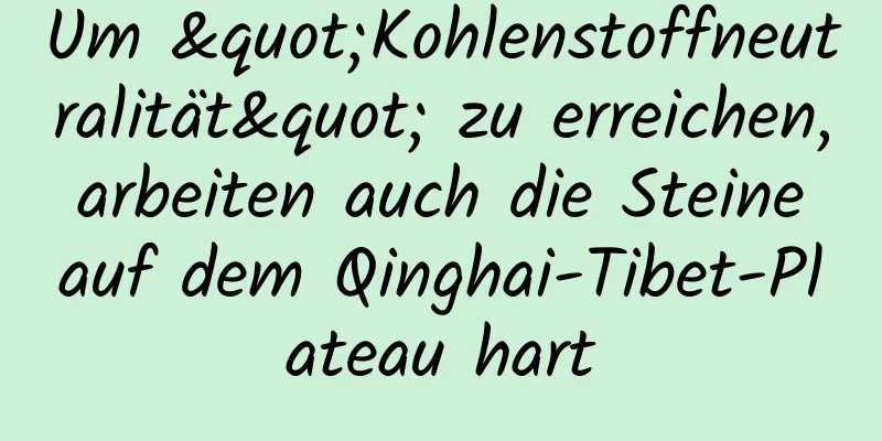 Um "Kohlenstoffneutralität" zu erreichen, arbeiten auch die Steine ​​auf dem Qinghai-Tibet-Plateau hart