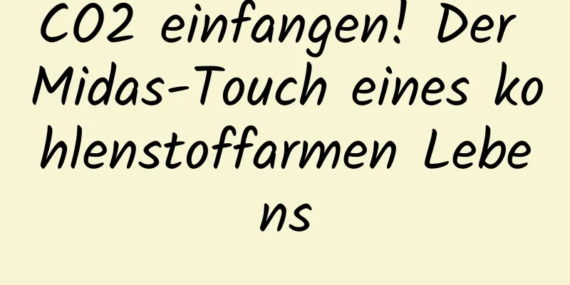 CO2 einfangen! Der Midas-Touch eines kohlenstoffarmen Lebens