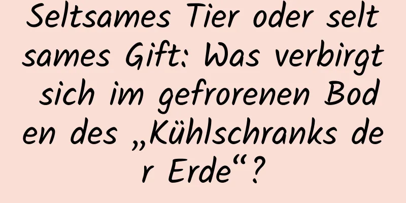 Seltsames Tier oder seltsames Gift: Was verbirgt sich im gefrorenen Boden des „Kühlschranks der Erde“?