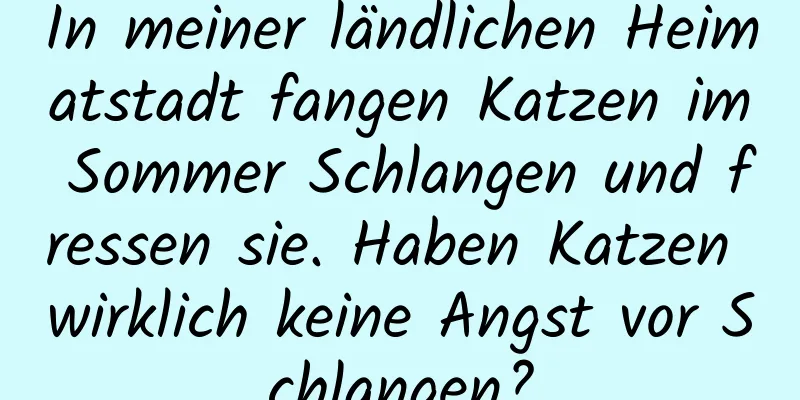 In meiner ländlichen Heimatstadt fangen Katzen im Sommer Schlangen und fressen sie. Haben Katzen wirklich keine Angst vor Schlangen?