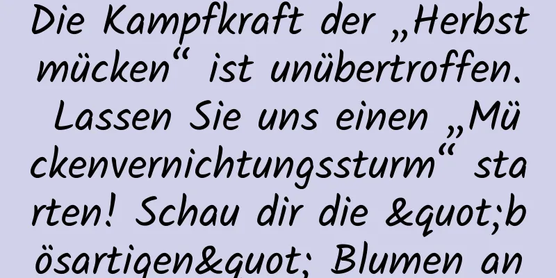 Die Kampfkraft der „Herbstmücken“ ist unübertroffen. Lassen Sie uns einen „Mückenvernichtungssturm“ starten! Schau dir die "bösartigen" Blumen an