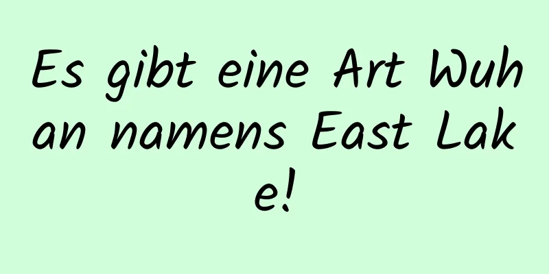 Es gibt eine Art Wuhan namens East Lake!