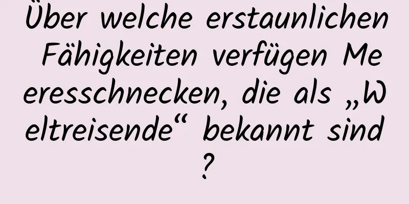 Über welche erstaunlichen Fähigkeiten verfügen Meeresschnecken, die als „Weltreisende“ bekannt sind?