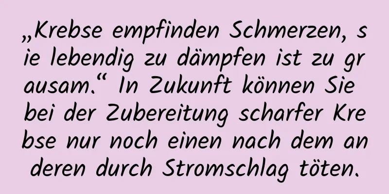 „Krebse empfinden Schmerzen, sie lebendig zu dämpfen ist zu grausam.“ In Zukunft können Sie bei der Zubereitung scharfer Krebse nur noch einen nach dem anderen durch Stromschlag töten.