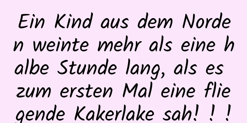 Ein Kind aus dem Norden weinte mehr als eine halbe Stunde lang, als es zum ersten Mal eine fliegende Kakerlake sah! ! !