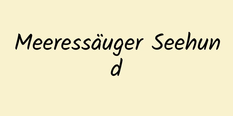 Meeressäuger Seehund