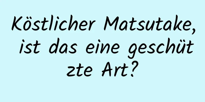 Köstlicher Matsutake, ist das eine geschützte Art?