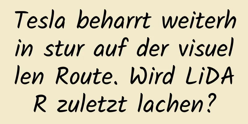 Tesla beharrt weiterhin stur auf der visuellen Route. Wird LiDAR zuletzt lachen?