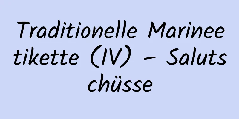 Traditionelle Marineetikette (IV) – Salutschüsse