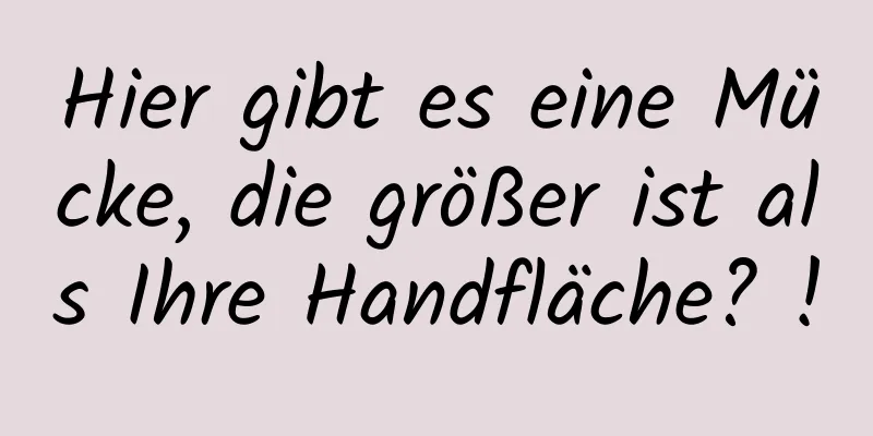 Hier gibt es eine Mücke, die größer ist als Ihre Handfläche? !