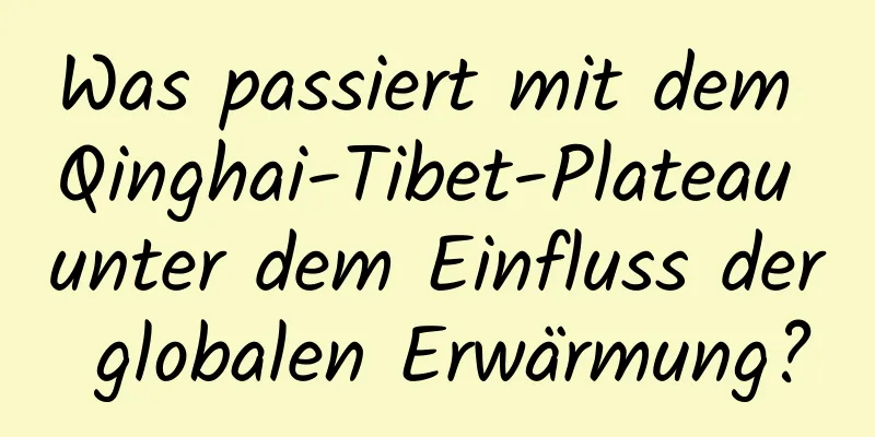 Was passiert mit dem Qinghai-Tibet-Plateau unter dem Einfluss der globalen Erwärmung?