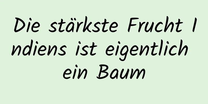 Die stärkste Frucht Indiens ist eigentlich ein Baum