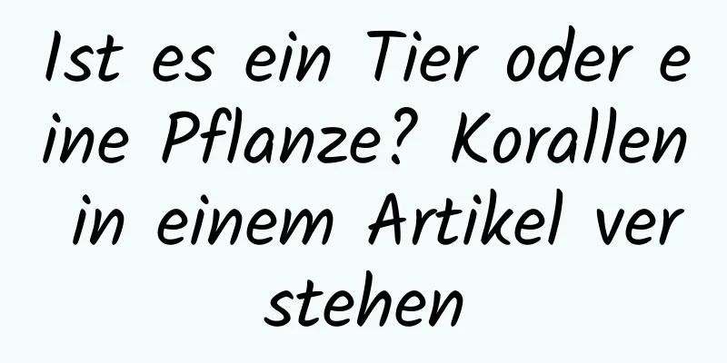 Ist es ein Tier oder eine Pflanze? Korallen in einem Artikel verstehen