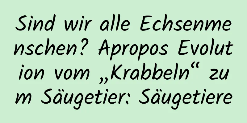 Sind wir alle Echsenmenschen? Apropos Evolution vom „Krabbeln“ zum Säugetier: Säugetiere